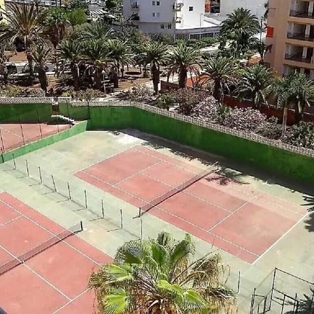 Cristianos Lemon Trees Vue Panoramique Los Cristianos (Tenerife)