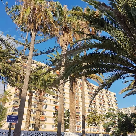 Cristianos Lemon Trees Vue Panoramique Apartment *